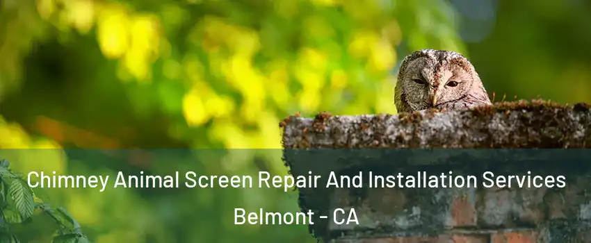  Chimney Animal Screen Repair And Installation Services Belmont - CA