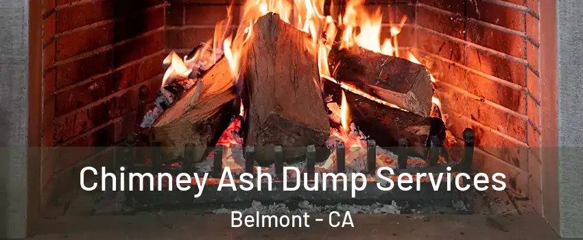  Chimney Ash Dump Services Belmont - CA