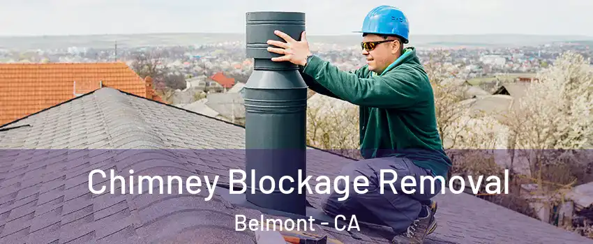  Chimney Blockage Removal Belmont - CA