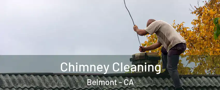  Chimney Cleaning Belmont - CA