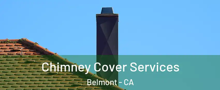  Chimney Cover Services Belmont - CA