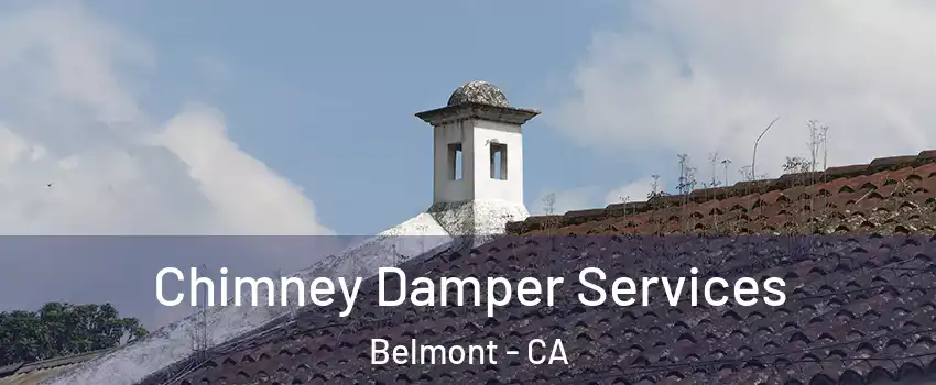  Chimney Damper Services Belmont - CA