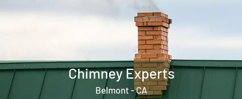  Chimney Experts Belmont - CA