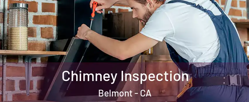  Chimney Inspection Belmont - CA