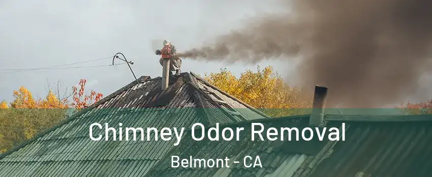  Chimney Odor Removal Belmont - CA