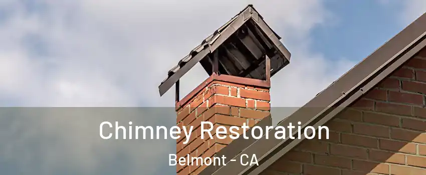  Chimney Restoration Belmont - CA