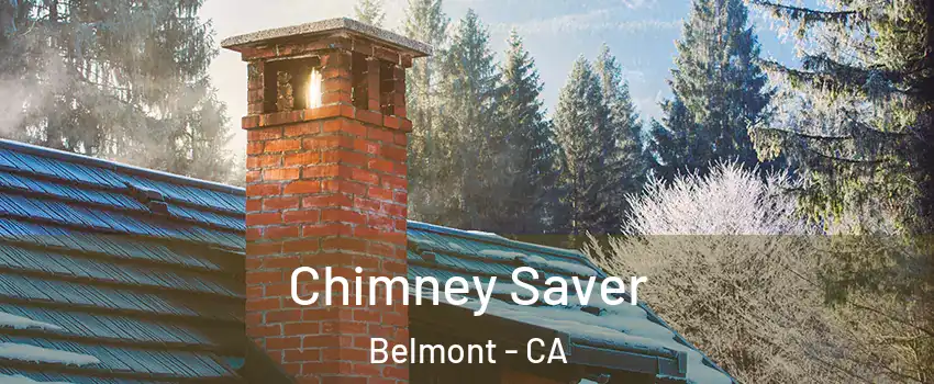  Chimney Saver Belmont - CA