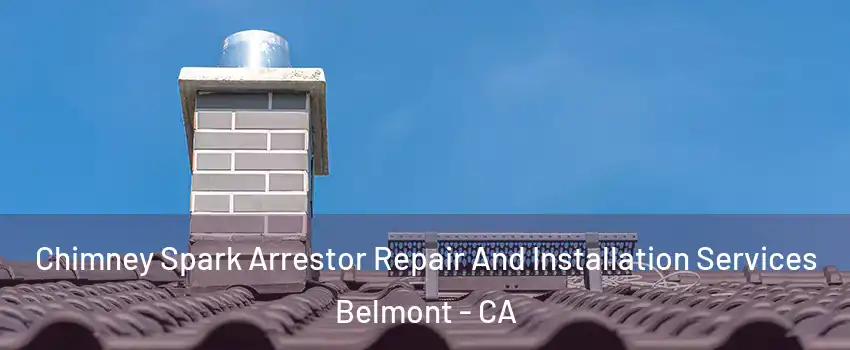  Chimney Spark Arrestor Repair And Installation Services Belmont - CA