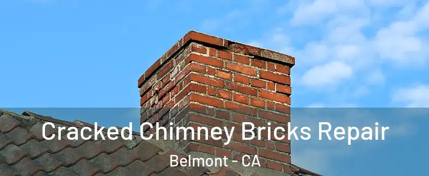  Cracked Chimney Bricks Repair Belmont - CA