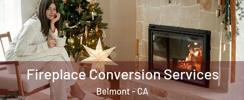  Fireplace Conversion Services Belmont - CA