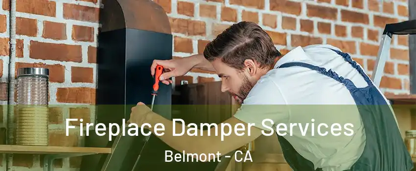  Fireplace Damper Services Belmont - CA