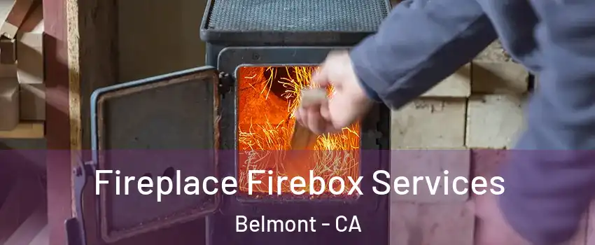  Fireplace Firebox Services Belmont - CA