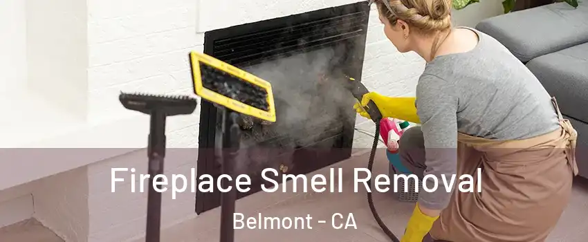  Fireplace Smell Removal Belmont - CA