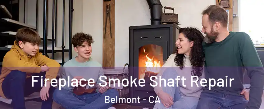  Fireplace Smoke Shaft Repair Belmont - CA
