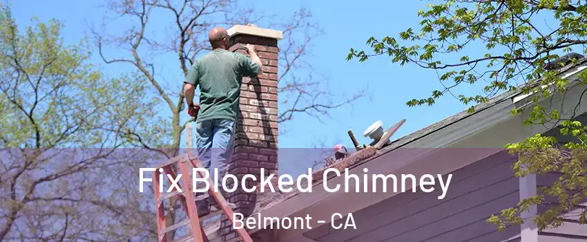  Fix Blocked Chimney Belmont - CA