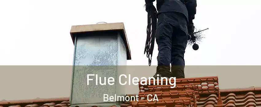  Flue Cleaning Belmont - CA