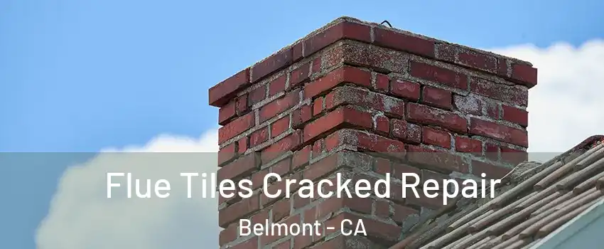  Flue Tiles Cracked Repair Belmont - CA