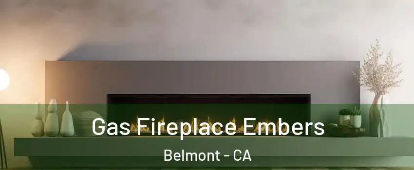  Gas Fireplace Embers Belmont - CA