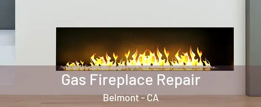  Gas Fireplace Repair Belmont - CA