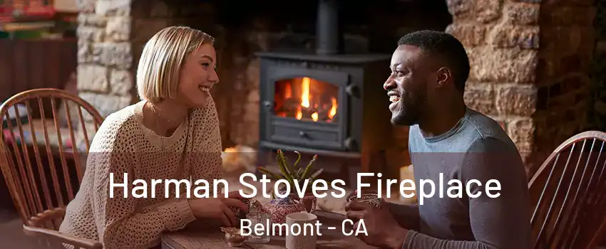  Harman Stoves Fireplace Belmont - CA
