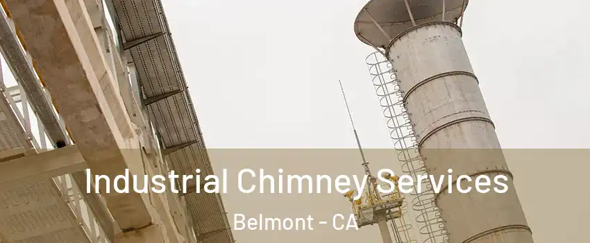  Industrial Chimney Services Belmont - CA