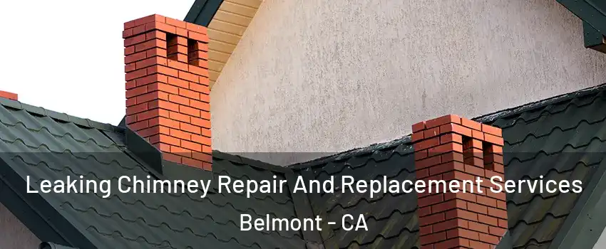  Leaking Chimney Repair And Replacement Services Belmont - CA