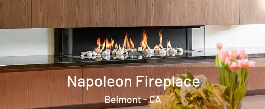  Napoleon Fireplace Belmont - CA