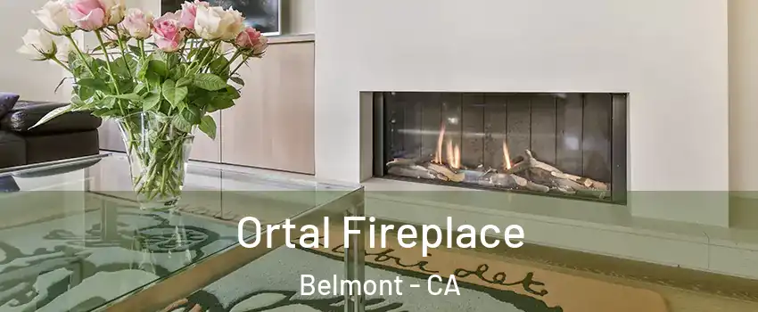  Ortal Fireplace Belmont - CA