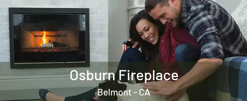  Osburn Fireplace Belmont - CA