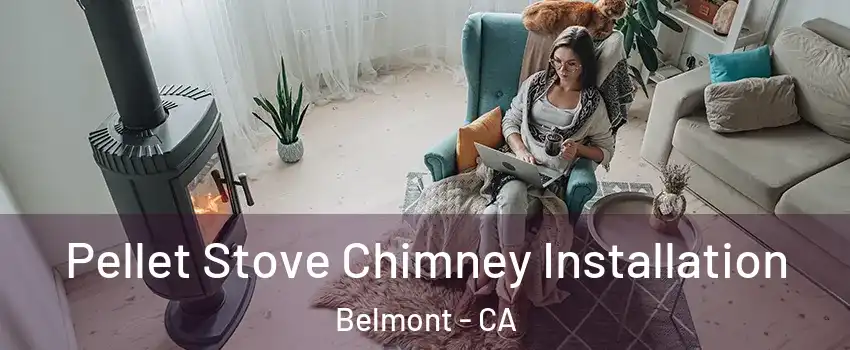  Pellet Stove Chimney Installation Belmont - CA
