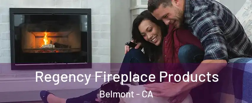  Regency Fireplace Products Belmont - CA